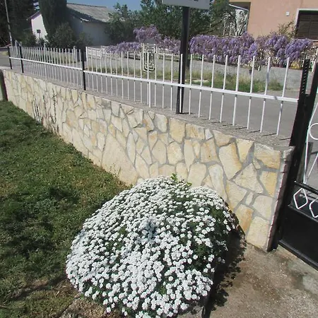 Jasen * Maslenica